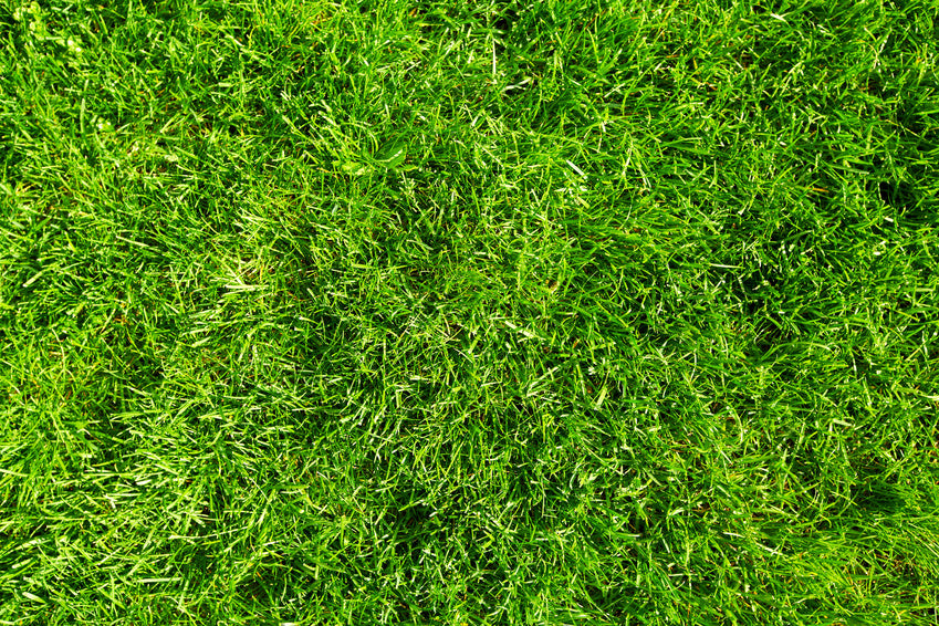 Agricultural Production and Upkeep: The Power of Bush Hogs