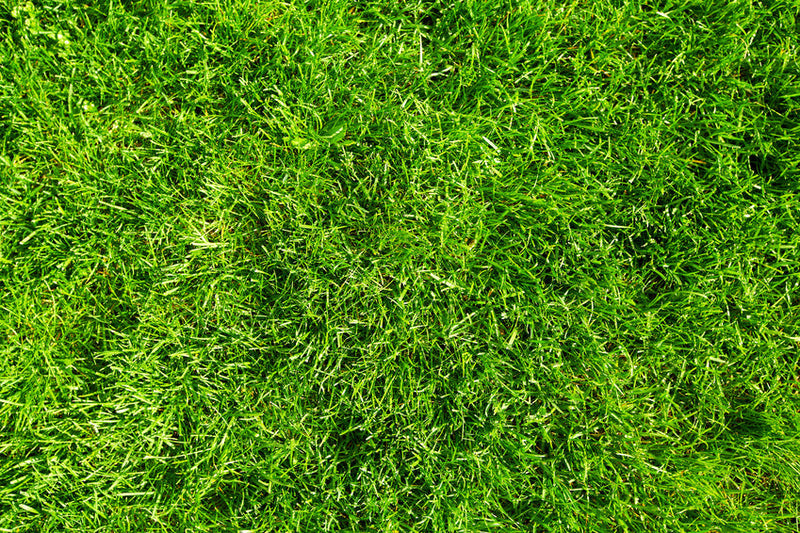 Agricultural Production and Upkeep: The Power of Bush Hogs